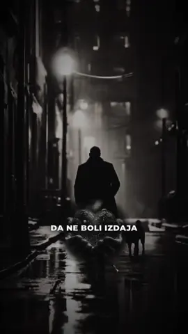 Neučio sam..#pouka #poruka #muzika #balkan #balkantiktok 