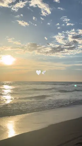 🤍🤍🕊️🕊️