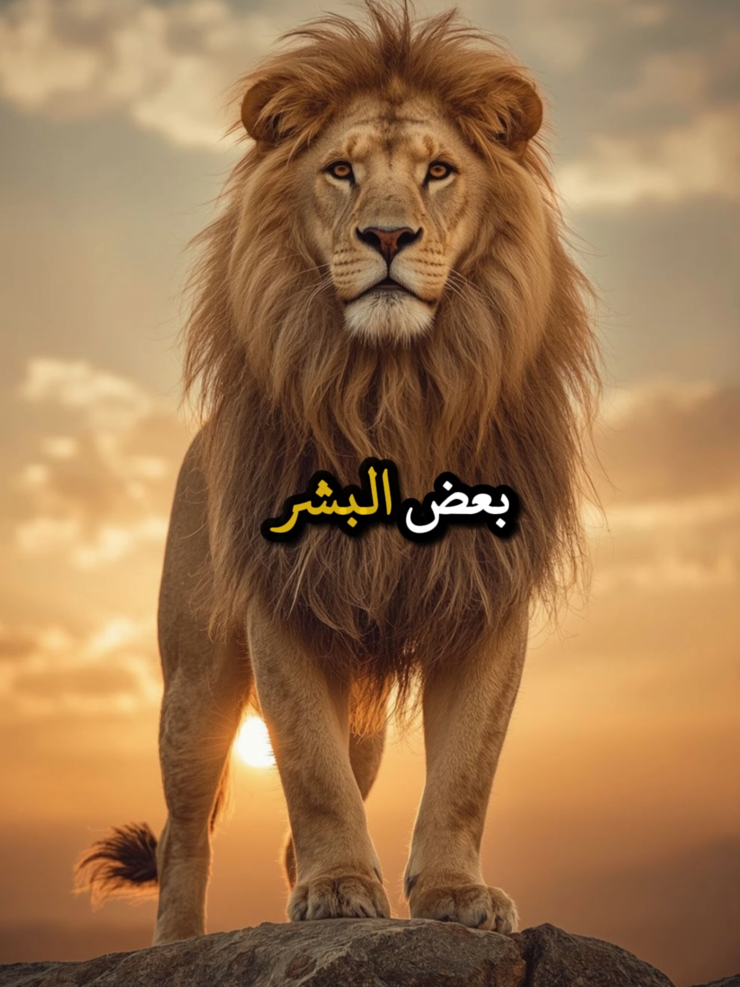 بعض البشر يحبوننا متى شاءوا #حكمة #خواطر #اكسبلور #علم_النفس #تطوير_الذات #كلام_من_ذهب #اطمئن #اقتباسات_عبارات_خواطر #تحفيزات_إيجابية #اقتباساتت #explore #viral_video #psychology #motivation #fyp