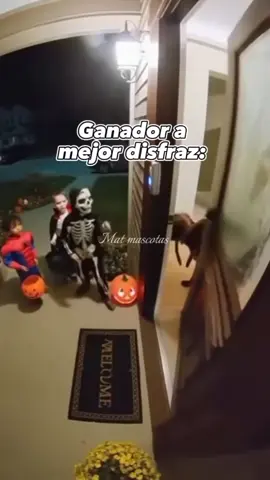 Firulais! #firulais #perros #disfraz #halloween #ganador 