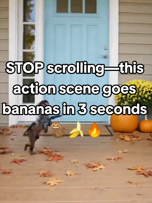 🚨When the mission looked easy until recoil said “NOPE 💥🐒😂🎬”   POV: You’re a monkey trying to join the action movie universe… and physics had other plans 💀🐒🔫🎥   He had ONE mission… but the porch wasn’t ready 😭🐒💣   #MonkeyFails #EpicRecoil #FunnyAnimals #MissionFailed #ComedyClip                            