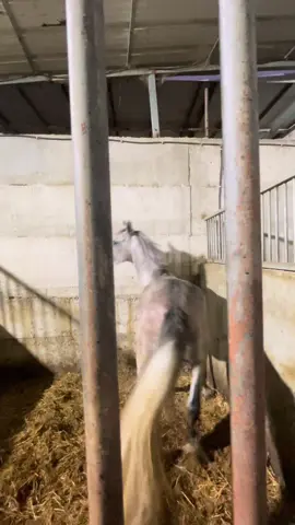 #مشاءالله🧿🤍#بريق_المرعب🦁♥️ #2023⏳🖤 #حمدالله_على_كل_حال #لهم_صل_وسلم_على_نبينا_محمد 