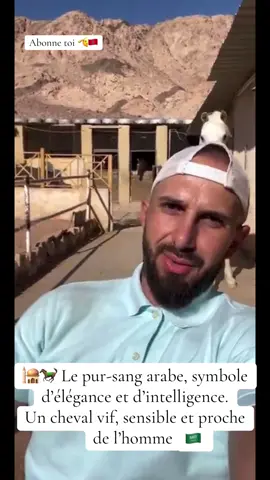 #ChevalArabe #Fierté #Maroc #Elegance