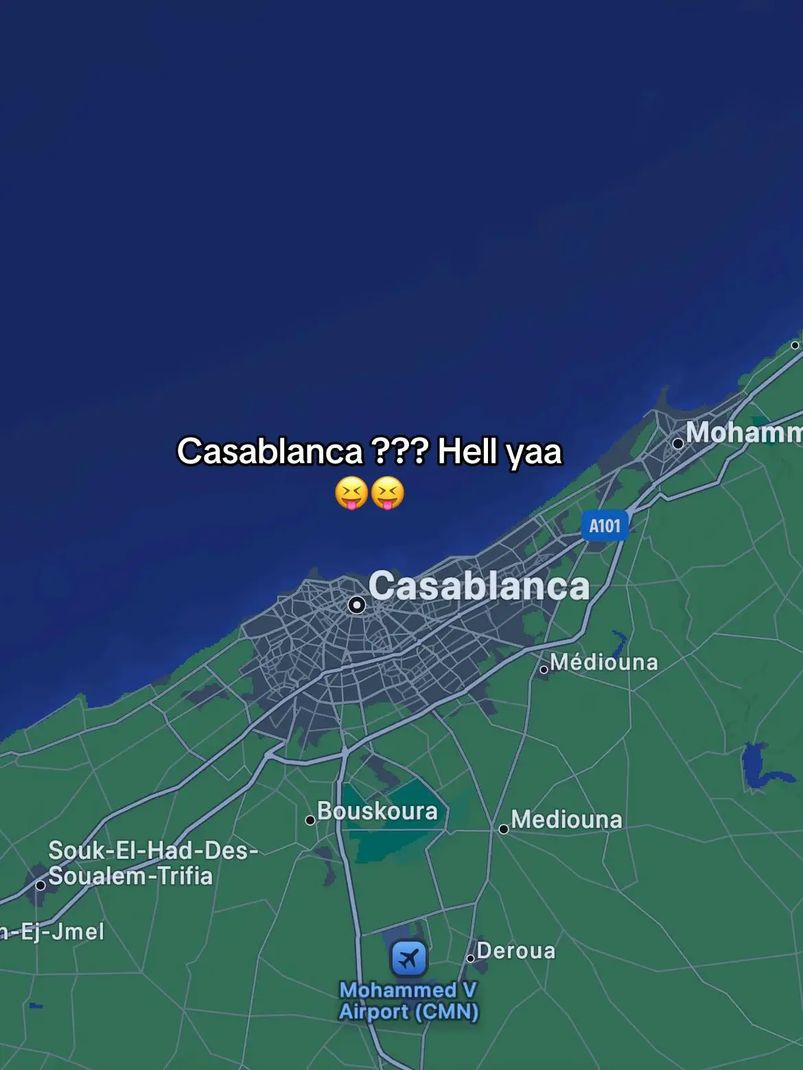 #fypシ゚ #morocco🇲🇦 #casablanca🇲🇦 #becane33❤️‍🔥🌪 #شعب_الصيني_ماله_حل😂😂 