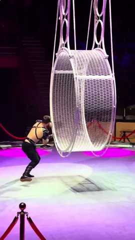 Завтра начало а Брянском цирке😉