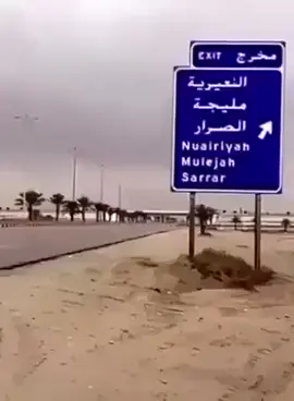 #الشعب_الصيني_ماله_حل😂😂 #وادي_العجمان #السعودية #ابل #onthisday 