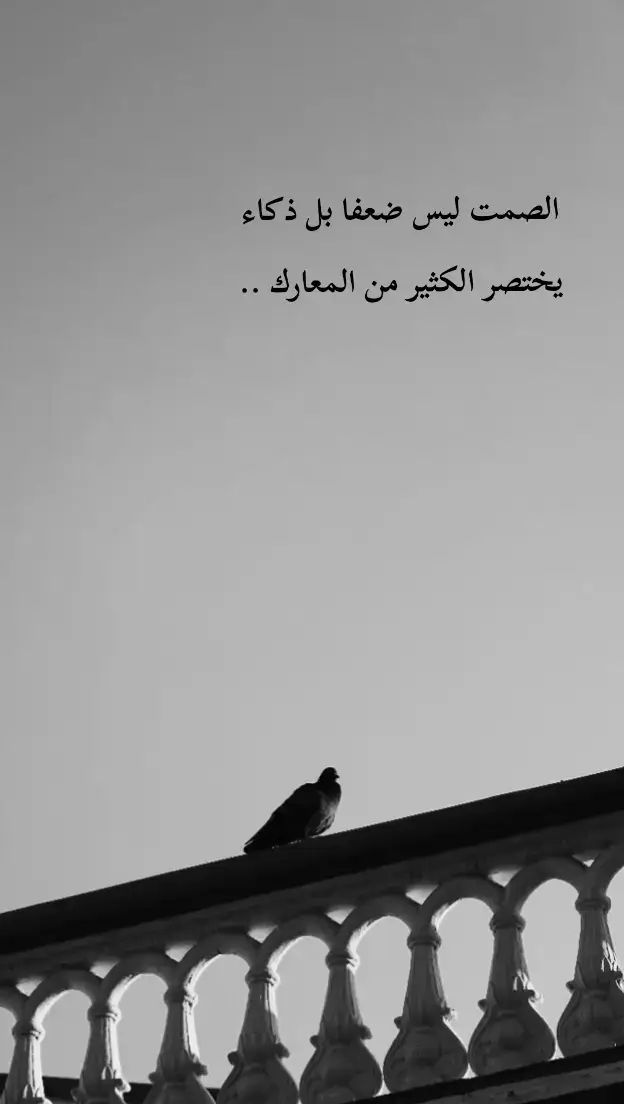 #بهاء🖤 #عبارات_جميلة_وقويه😉🖤  #عباراتكم_الفخمه📿📌 #fypシ  #تصميمي🎬 