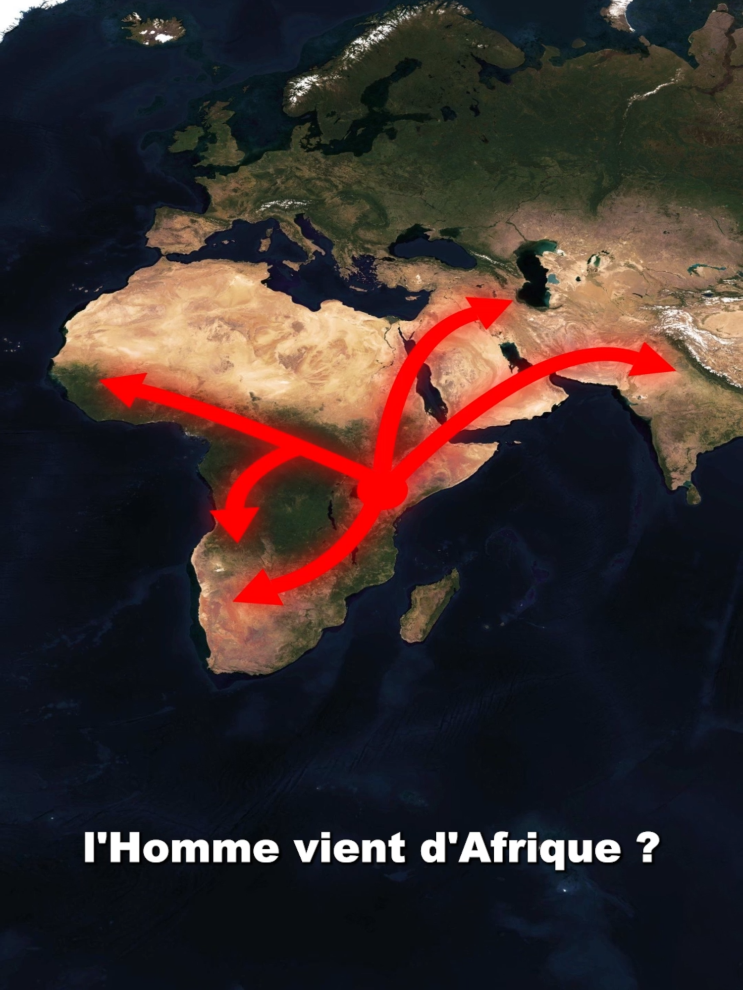 Jsp si on réalise la dinguerie #ApprendreSurTikTok #préhistoire #historytiktok