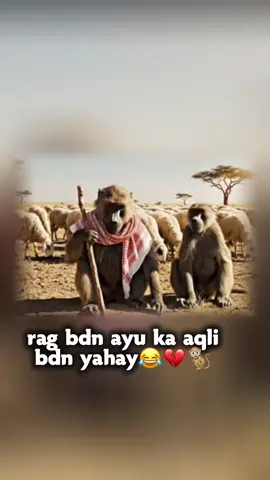 dhanyer ii radiya ani🥹🐒🌷💘😂#somalitiktok #foryoup #ميما🧕🏽💘 #somalitiktok #foryyyyyyyyyyyyyyyyyyyyyyy 