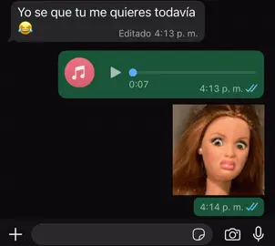 Yo te agarro con un palo q tengo aquí y mira 😒🙄🤣🤣#audiodewhatsapp #viraltiktok #umor #viral #meme 