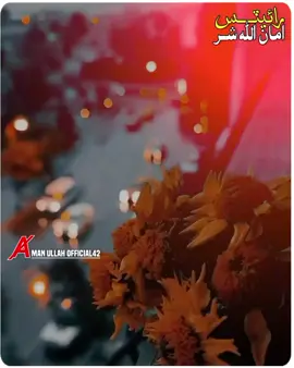 اي يَار جا ھن پور پيا پُور بس بھرپور پيا .... سنگت ريپوسٽ ڪيو ويڊو پليز 🙏😘🥀🙏 viral video my tiktok team 🙏  unfreeze my account #viral_video_tiktok_treding #sindhi_status_songs #ForYou #ForYoupage #plzunfrezemyaccount🙏 