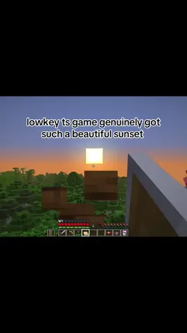 “are we gonna address the elephant in the room?” ahh video 💔😭✌️ #fyp #exposedcutcopperslab #Minecraft #minecraftmemes #minecraftmeme 