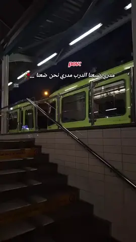 لقد ضعنا في الطين للبحث عن نبتة لاوجود لها 🥀 . .