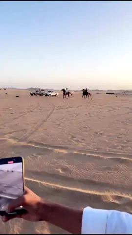 المرتعد🔥.#السبوق🏆 #ماشاءالله #تصلال♥️🎠 #الدبابة #خيل_وخياله🐎 