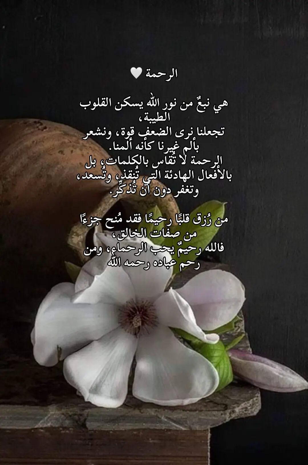 #اللهم_صل_وسلم_على_نبينا_محمد #قران_كريم 