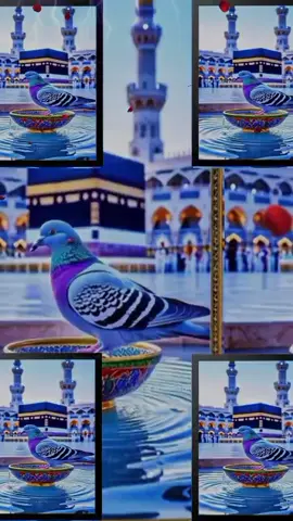 #10000kviews✔️tiktok💫❤️