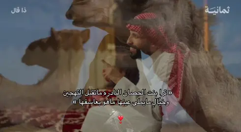 #اكسبلورexplore #سعود_بن_مبارك #tik 