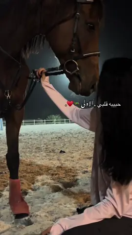 #explore #العريش 