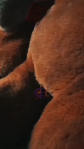 Ay,Bebé @Grupo Frontera Oficial #fyp #haybebe #paratiiiiiiiiiiiiiiiiiiiiiiiiiiiiiii #creatorsearchinsights   #Viral 