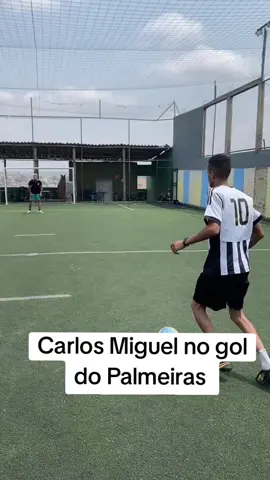 famoso goleiro mendigo tudo que vai ele aceita 🤣  #palmeiras #goleiro 