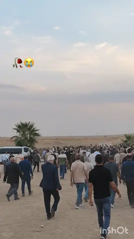 #rojhatimm🥀 #rojomm#😭 