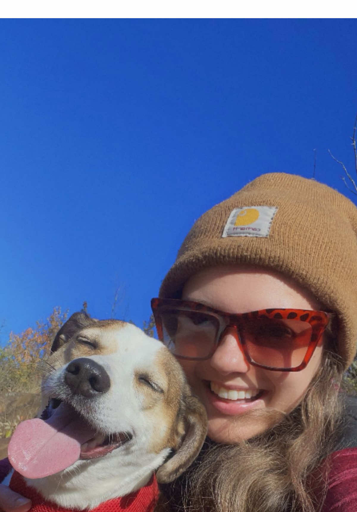 #fyp #chuckitinthefckitbucket 