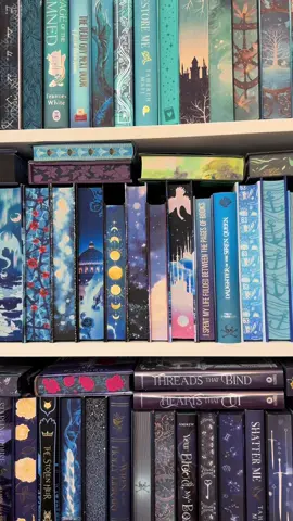 Gosh, I‘ve had the busiest week! But finally I was able to put my convention haul together.  I honestly did not plan to get any books this time because first and foremost: My preorder list is longer than I am tall. And I‘m 1,70m (5‘7)! But @Jasmin, @Anna and I got into a conversation with @Sandra J. Paul, author and had the most interesting discovery. Do you (maybe) remember when you read books as a child and you, as the reader, had the possibility to chose which path the main character should take? I remember books that made it possible for me to chose which scenario I wanted to read next. Her books are just like that!  You read part one and then FLIP the book to go on. Isn‘t that delightful?! I am absolutely thrilled. So of course I couldn’t chose and had to get not one but two.  • The Last Days Of Holly Hayes & • Whispers Of The Forgotten You need to look into those.  __ Naturally we had to go to @Bücherbüchse and even though I managed to keep myself from buying the edition when it first got online I wasn’t as strong with the real thing in hand. I caved and got the german edition of ‚Lights Out‘ by @Navessa Allen too. I mean, come on! This book is funny, thrilling and - Josh?!  Honestly, I deserve an award for owning only two copies so far.  Now books aside, the only had actually planned to spend money was bookish merch from @Buchdeckel. I love her online store and the way Christina listens to the bookish community, so this was a must have for me. Every merch (Except the standee) is from her shop and she regularly restocks her products, so if you saw something you like - feel free to hop over to her profile. We even managed to have a conversation with her, and she‘s just as nice irl as we assumed. The girls at the booth were lovely too!  I managed to snag  * Two Kindle Inlays (Fourth Wing, Vampire)  * Fourth Wing Keychain * Fourth Wing Kindle Socket * Clear Binder with different sheets * Fourth Wing Dust Plug * Throne of Glass Kindle Sleeve in Green * Panem Bookmark And I even got a Throne of Glass Bag as present! Honestly, I regret not getting a Kindle Charm. I mean, we do need more of those in our life!  Lastly Jasmin shared her ‚The Deadly Side of Love‘-Box from @leaf.verlag with me because she wanted the plushie so badly but already had the book. More goodies for me 🤍 What‘s the thing you love most about bookish conventions?  . . . . . . . . . . . . . . . . . #bookhaul #fbm #buecherbuechse #lightsout #bookish 