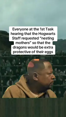 So the most dangerous dragons possible, sweet #triwizardtournament #triwizardchampion #dragon #gobletoffire #avadakedavra #expelliarmus #cedricdiggory #yuleball #hermionegranger #deatheater #hufflepuff #Meme #MemeCut 