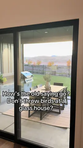 Seven windows on this house had a Bird print on them 😂 I've never been in a house before when a bird has hit a window, but I could imagine with these things going at full speed it's a pretty loud thud!  ##newbuild##inspector##construction##birdsoftiktok##ouch