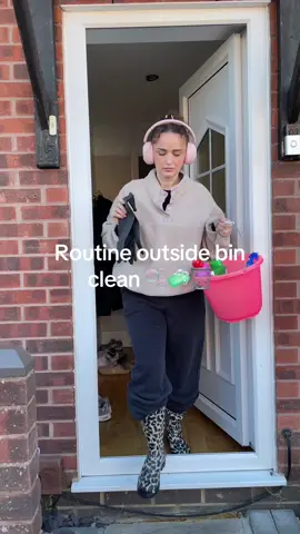 This is the norm and I will not be convinced otherwise 🤣 #clean #CleanTok #cleanwithme #cleanfreak #cleaning 