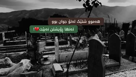 #foryou #fyp #viral #hawler #hawler_slemani_dhok_karkuk_hallabja 