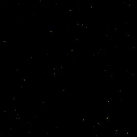 لا يمكنك أن تُغيرني. #اعبارات #foryou #هواجيس #explor #خواطر  #لاتغيرني 