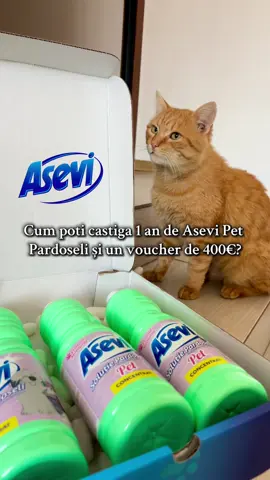 Intră pe leapsacurateniei.ro și hai în leapșa curățeniei cu Asevi Pet Pardoseli💚 #BUZZ_AseviPet #AseviPet #AseviRomania #LeapsaCurateniei #fyp @Asevi România x @BUZZStore 