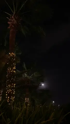 #كان–ودي–نلتقي #explore 