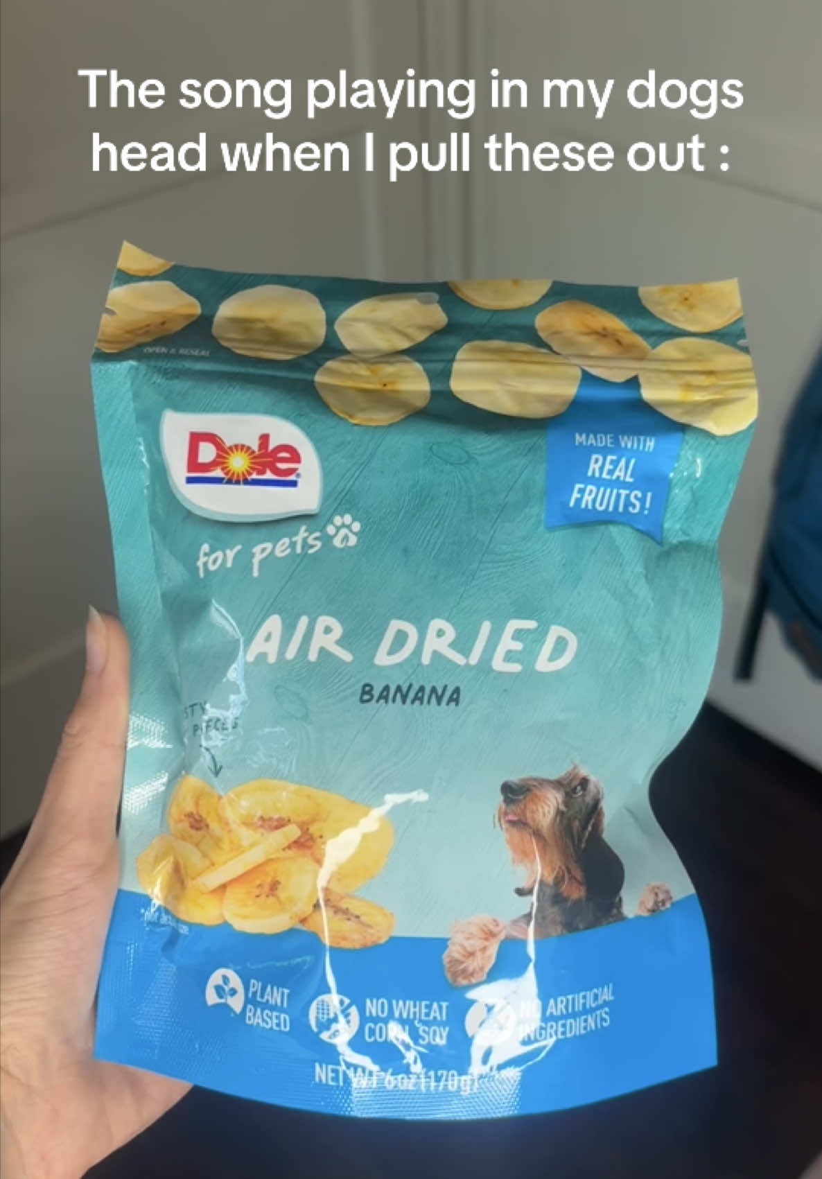 I didn’t even know dole made treats for dogs, but now I’m in love 🐕🖤 #romepie #fypシ #viral #trending #dogsoftikok #dogtreats #dole @Dole Packaged Foods 