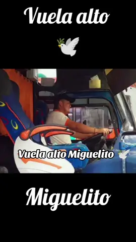 Vuela alto Miguelito 🕊️