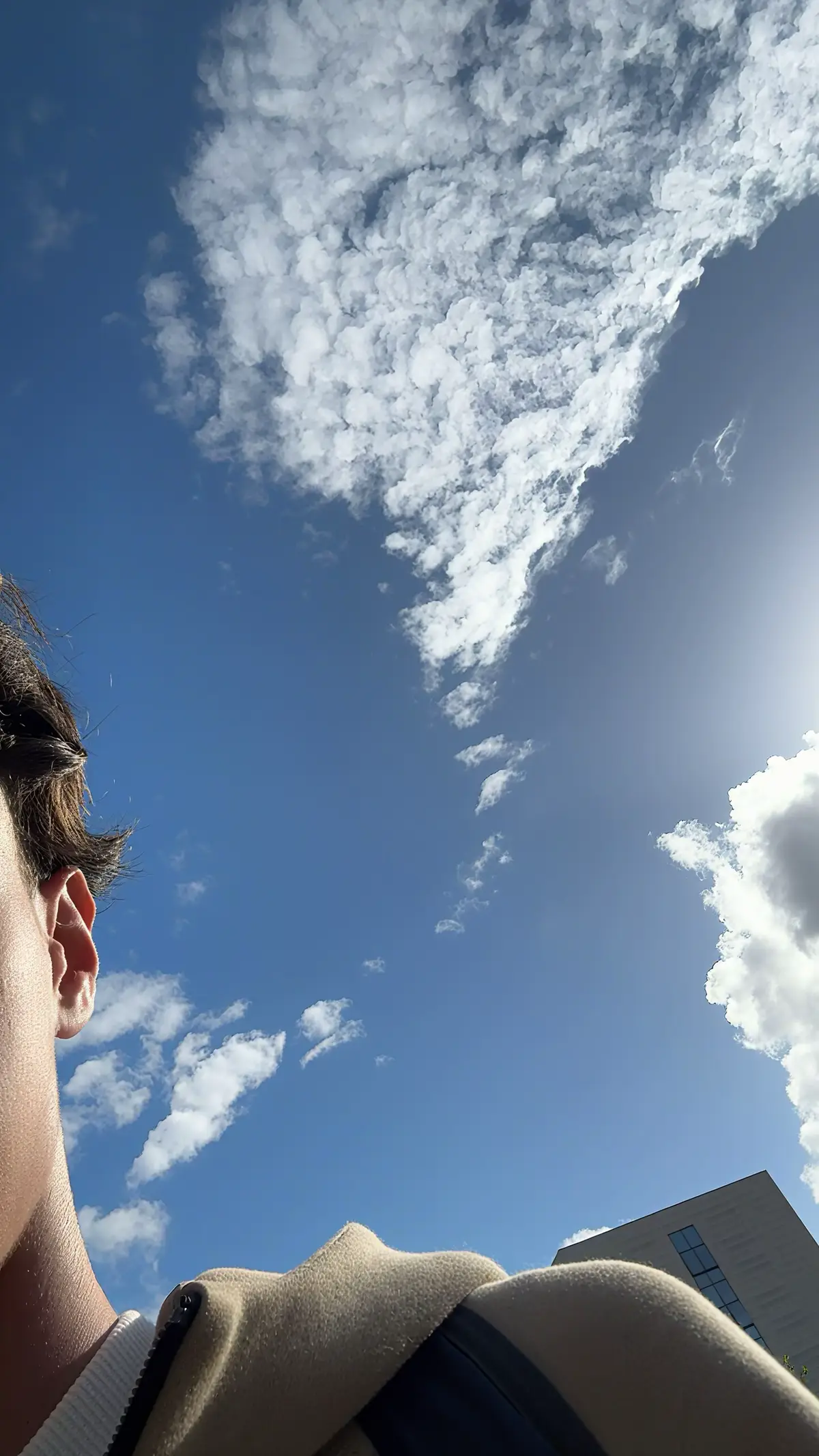 👾 #clean #xybca #photo #tired 