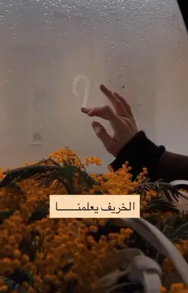 #👑چیچک👑 #fypシ #مشاهير_تيك_توك 