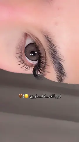 براوني قطرها ١٤.٥ خياليه باللبس 🤎🤎🤎