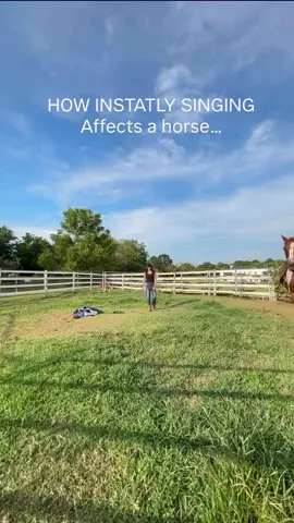 Slowly breaking through #horsesoftiktok #singer #singerstoknow 