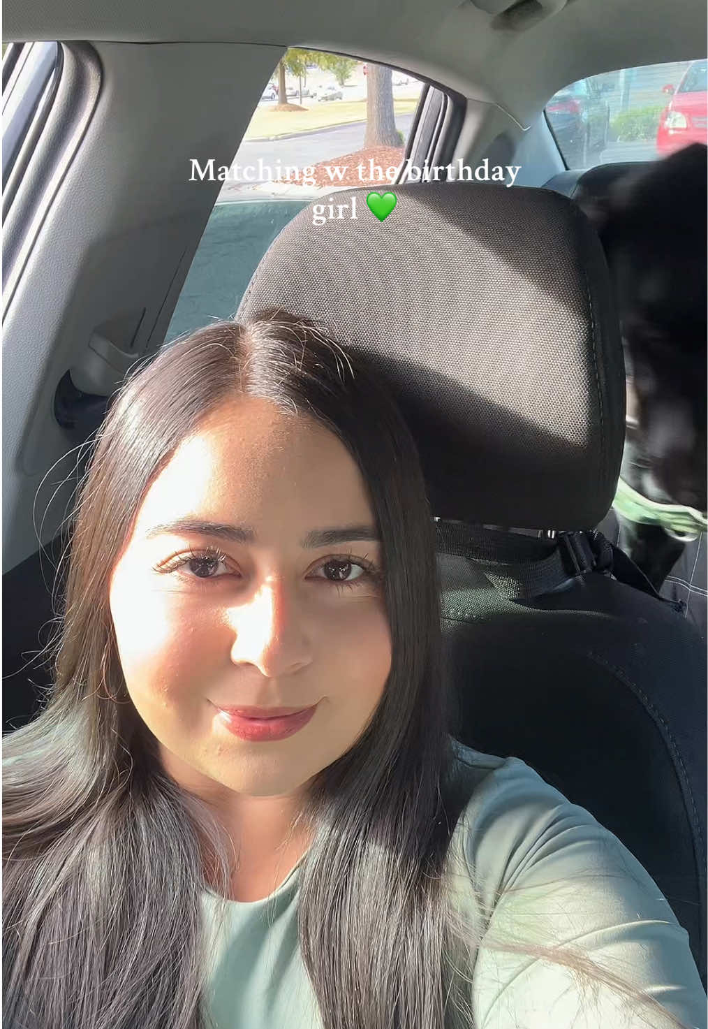 #dogsoftiktok #doberman #weimaraner #dogbirthday #birthdaygirl 