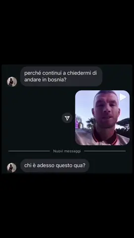 “Chi è adesso questo qua?” #dzeko #meme #fyp #bosnia 