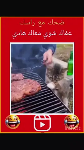 #فكاهةمغربية #كوميديا_مضحكة #كوميدية_مغربية #المغرب🇲🇦تونس🇹🇳الجزائر🇩🇿 #مشاهير_تيك_توك @Nancy Ajram 