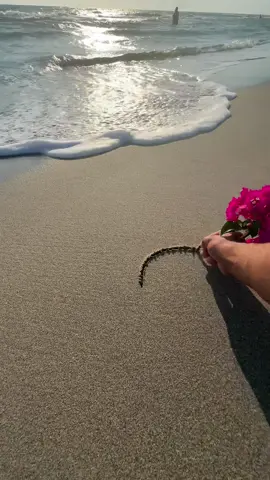 I will write in the sand I love you ❤#fyp 