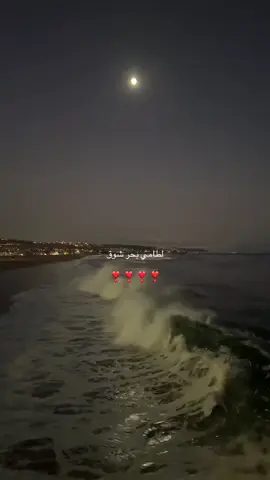 لطامي بحر شوق❣️❣️#like #explore #fyppppppppppppppppppppppp #trend #كومنت 