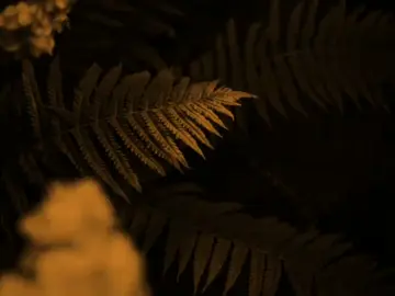 🎬 ماضل شي بعد للموت💔🎧 . . . . . . . . . . . . . #علي_الوائلي 