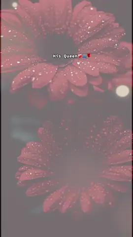 🫀🫂🌹@🦋🤍His Queen Backup🦋🕊️ 