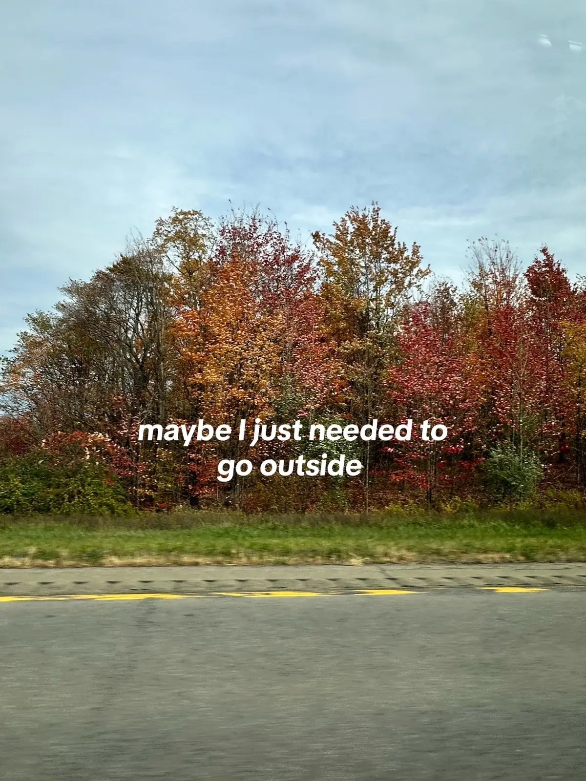 I don’t care what you’re doing. I don’t care if it’s cold. 🍁 Get out there! #fallseason #grounding #touchgrass #witch #mindfulnesspractice 