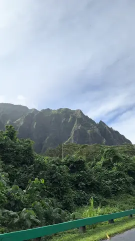 I’m so grateful I get to call this place home! #hawaii #fyp #botanicalgarden #grateful 
