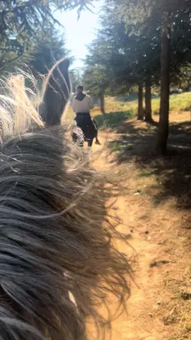 ##شعب_الصيني_ماله_حل😂😂 